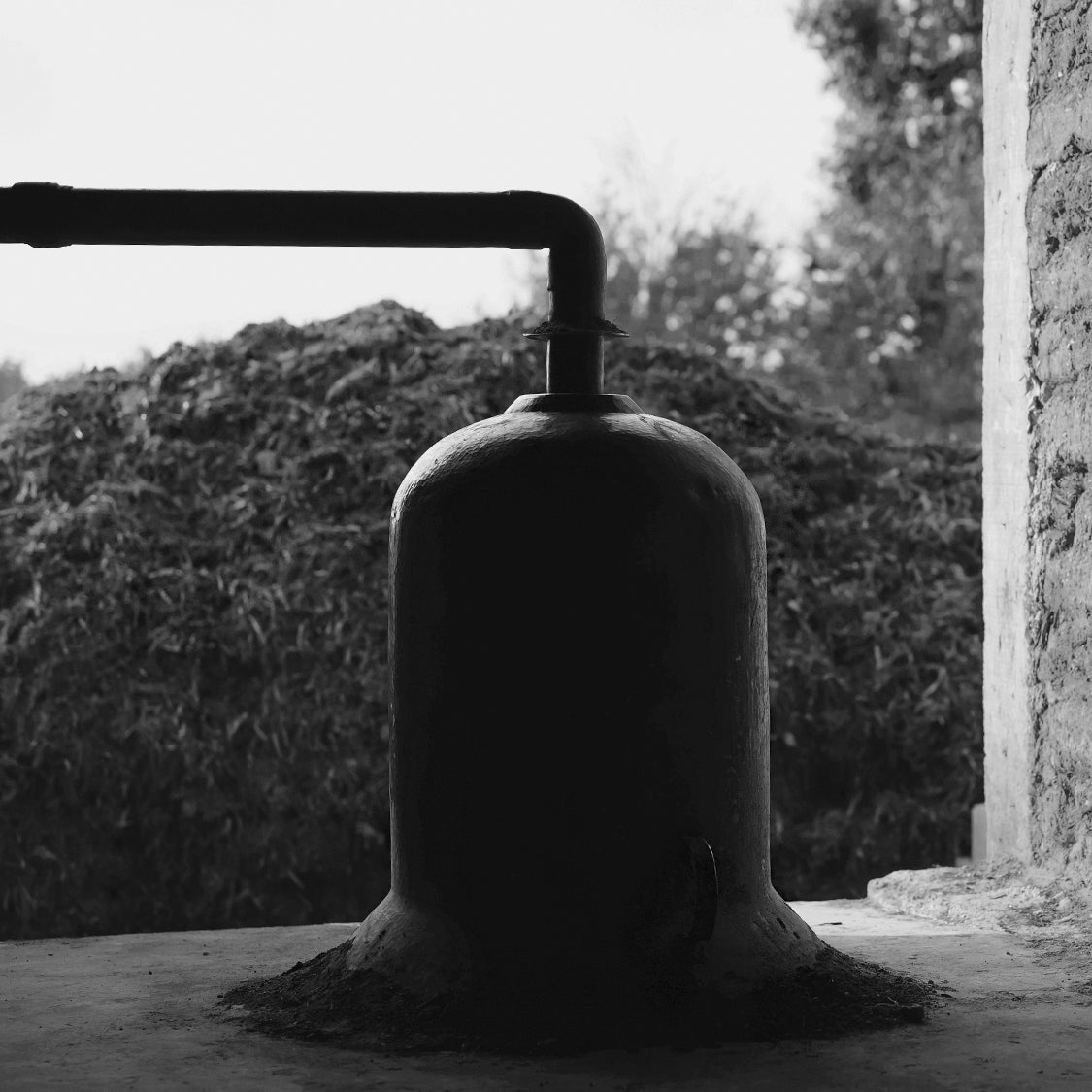 Sotol Cardinal - 750ml
